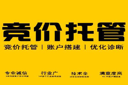 探索SEM服务托管的未来趋势及发展案例